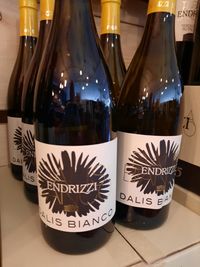 Weingut Endrizzi Dalis Bianco Spengler WeinDepot