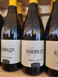 Weingut Endrizzi Pinot Grigio Spengler WeinDepot